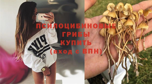 кокс Аркадак